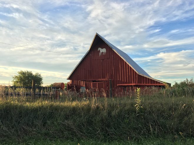 Horse Ranch_edited.jpg
